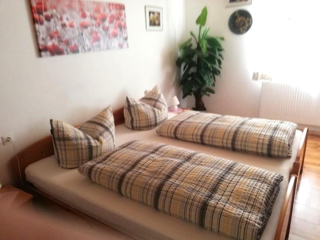 Appartment Haring Hollenstein an der Ybbs Esterno foto