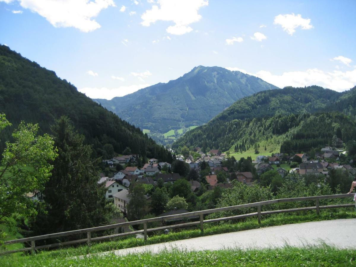 Appartment Haring Hollenstein an der Ybbs Esterno foto
