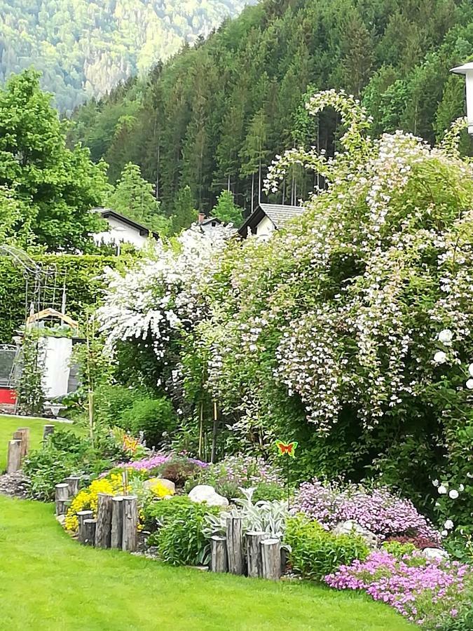 Appartment Haring Hollenstein an der Ybbs Esterno foto